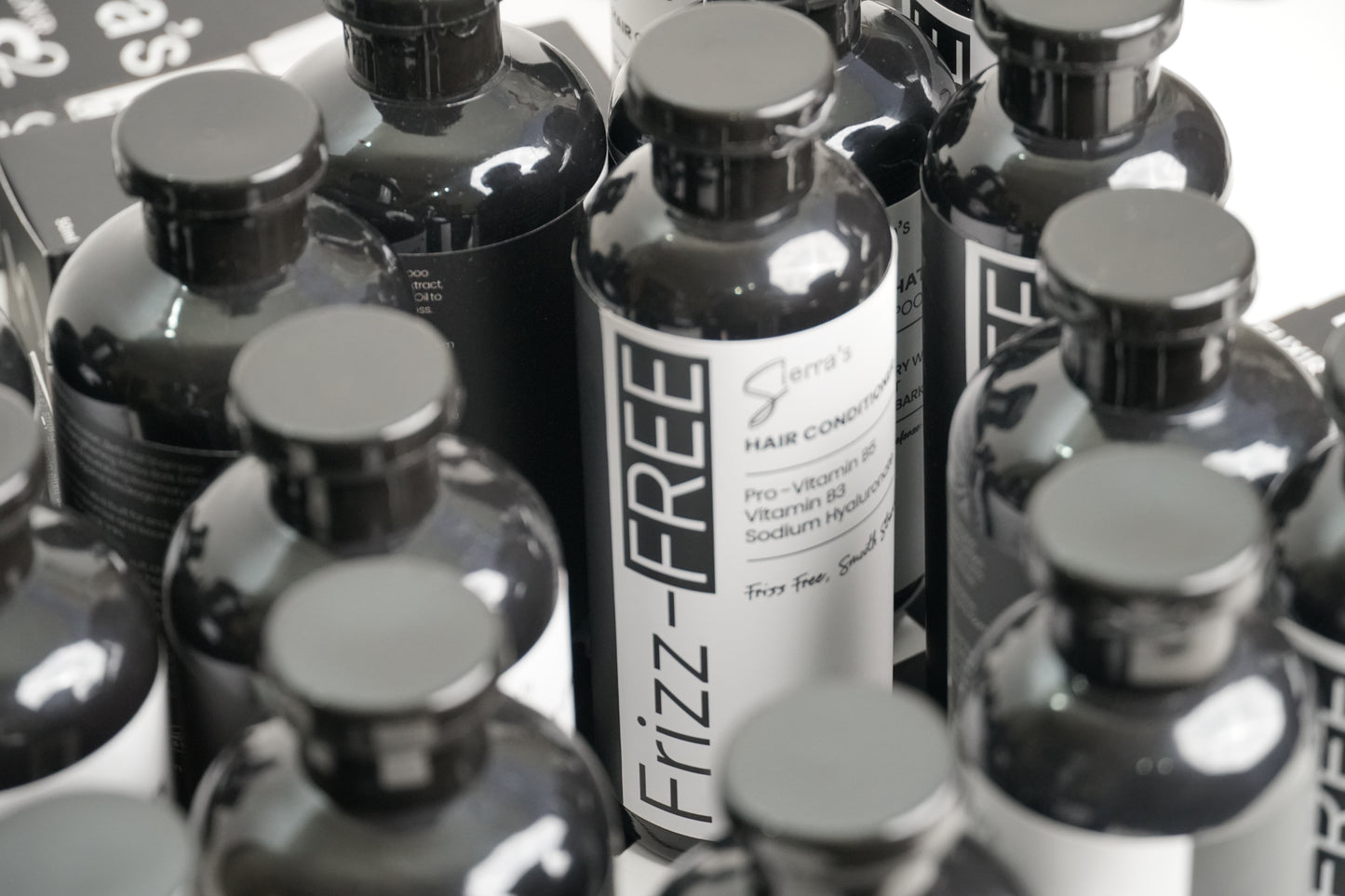 Frizz-FREE Hair Conditioner - 250 mL